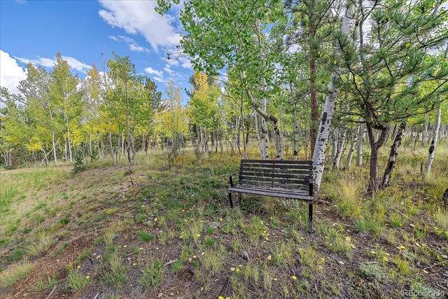 a garden view with a bench