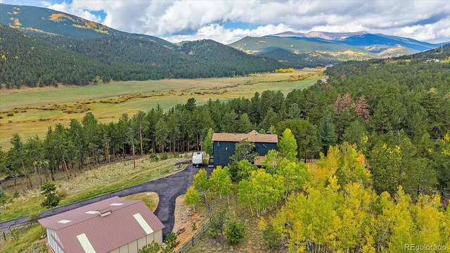 a view of a city with large trees