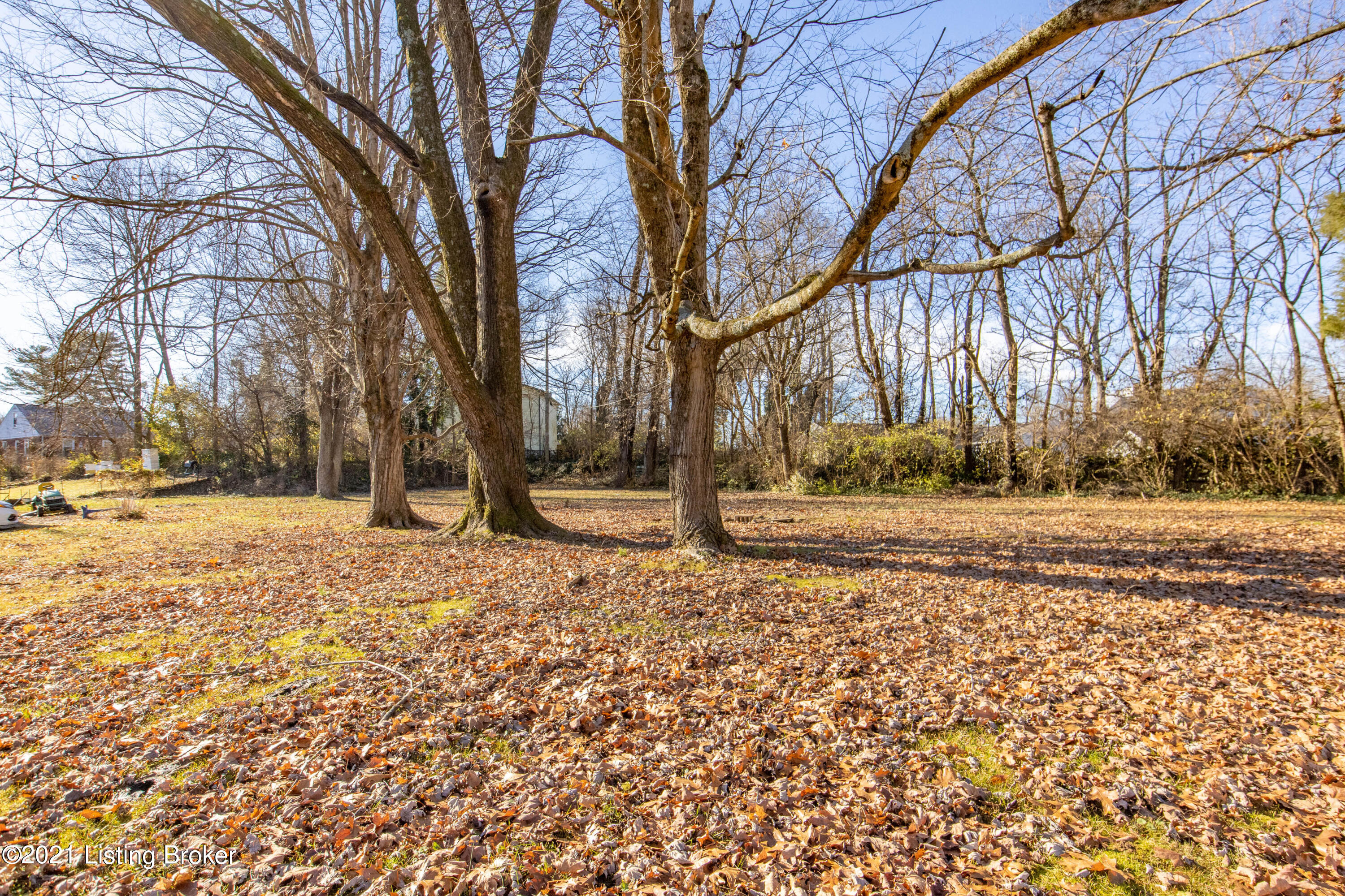 3406 Dell Road Louisville, KY 40299 - Photo 42 of 42 3406-Dell-Rd-43