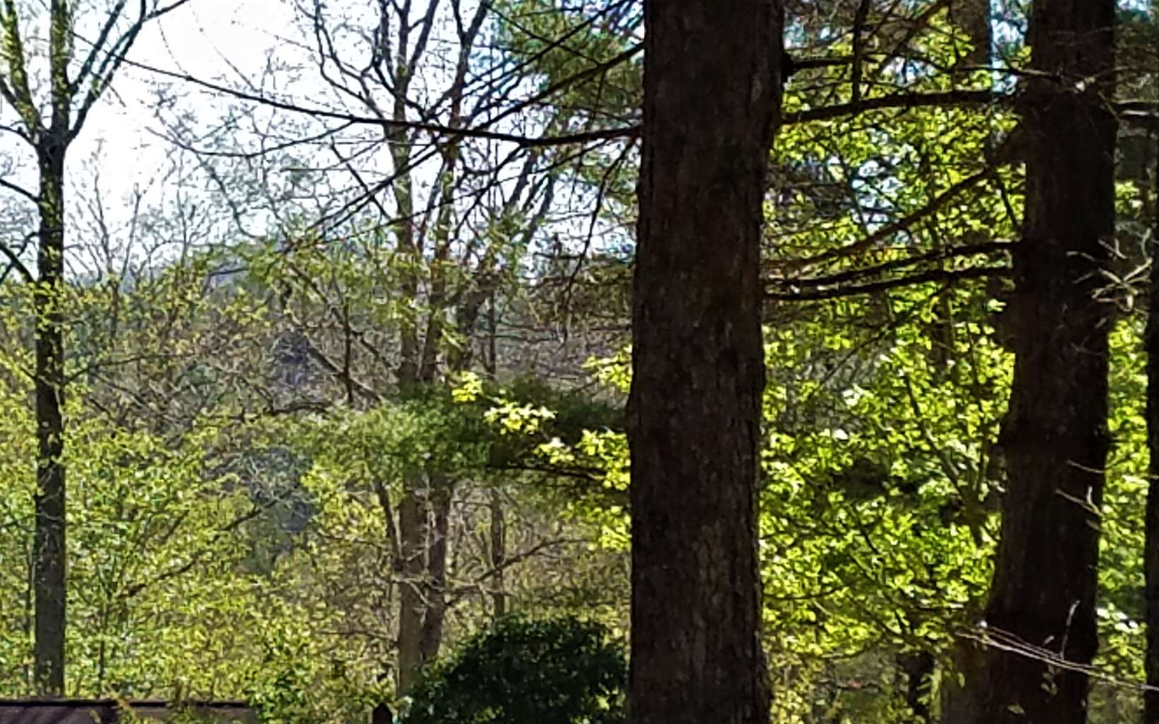 L1-18 Ridge Road Blairsville, GA 30512 - Photo 1 of 1 Main View
