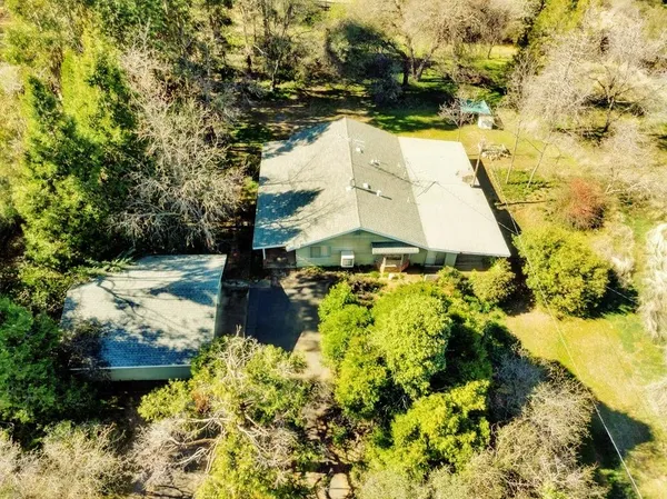 a view of yard along with trees