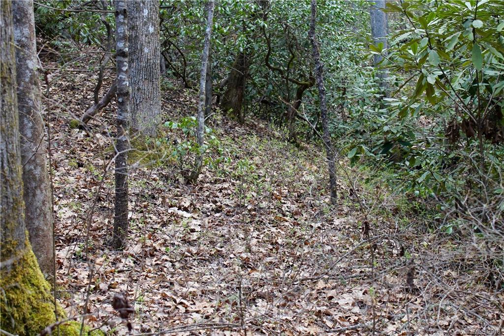Tbd Selica Road Brevard, NC 28712 - Photo 8 of 8 Gallery Image 8