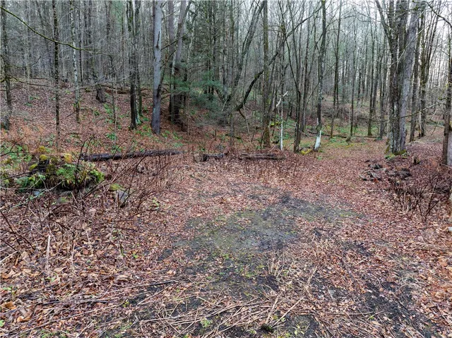 $184,900 | 10806 West Caton Road, Caton, NY 14830