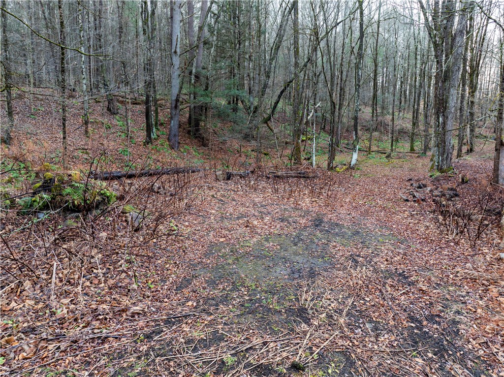 10806 West Caton Road Caton, NY 14830 - Photo 12 of 30