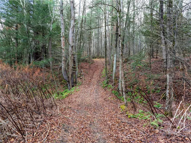 $184,900 | 10806 West Caton Road, Caton, NY 14830