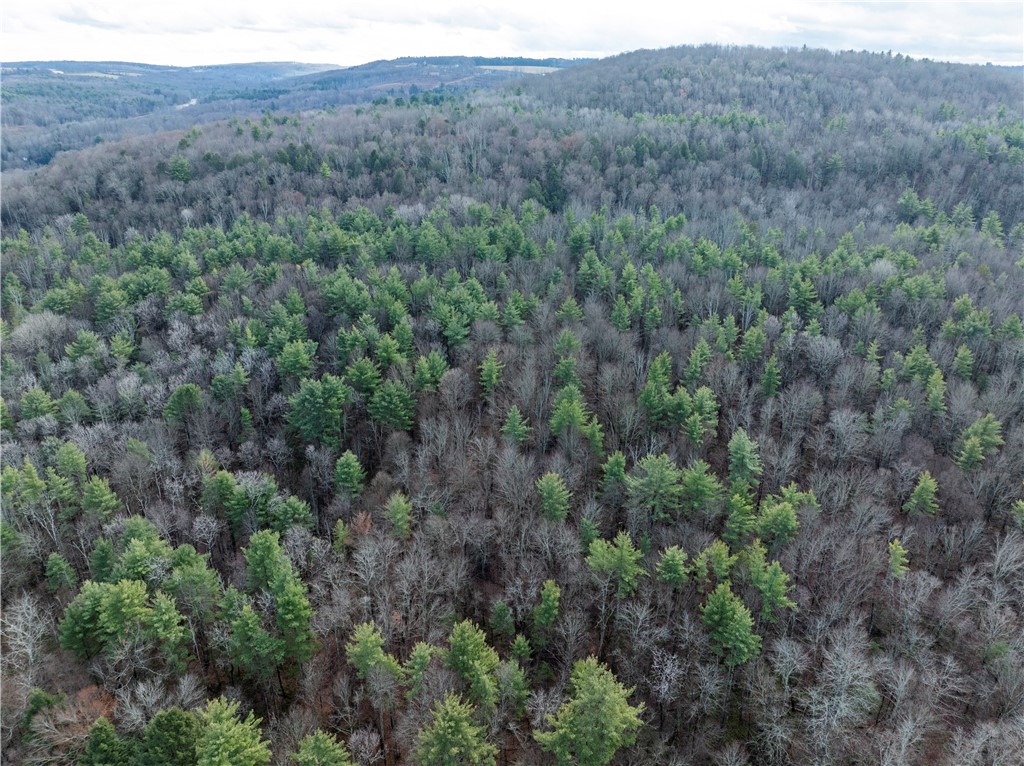 10806 West Caton Road Caton, NY 14830 - Photo 17 of 30