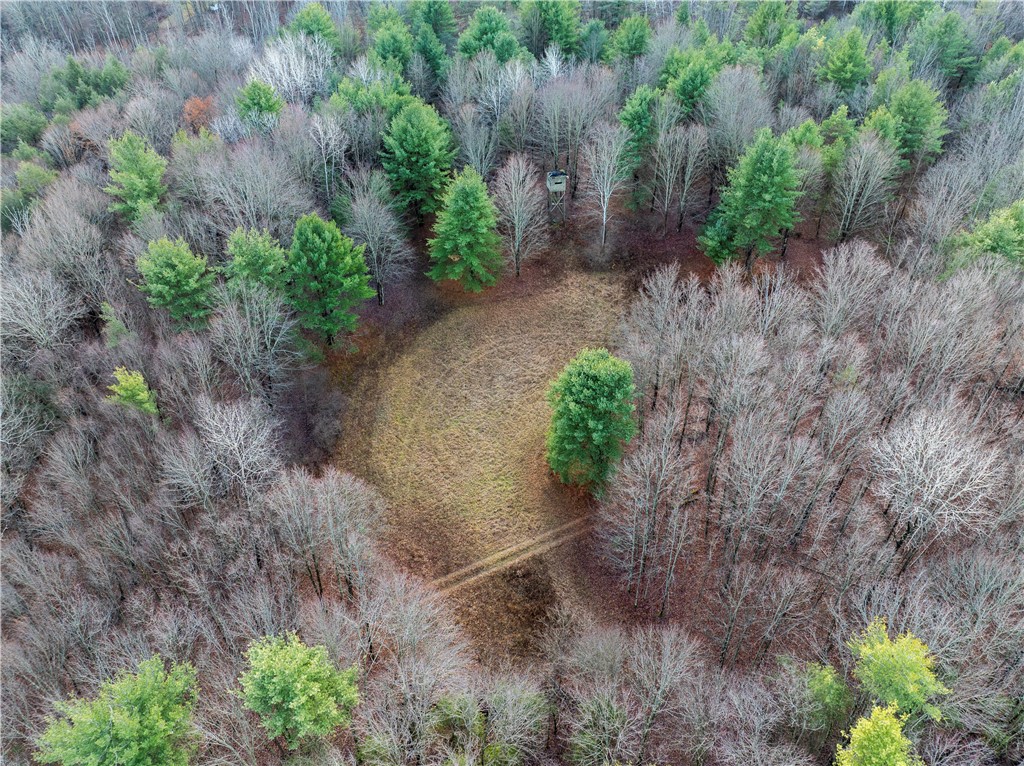 10806 West Caton Road Caton, NY 14830 - Photo 18 of 30