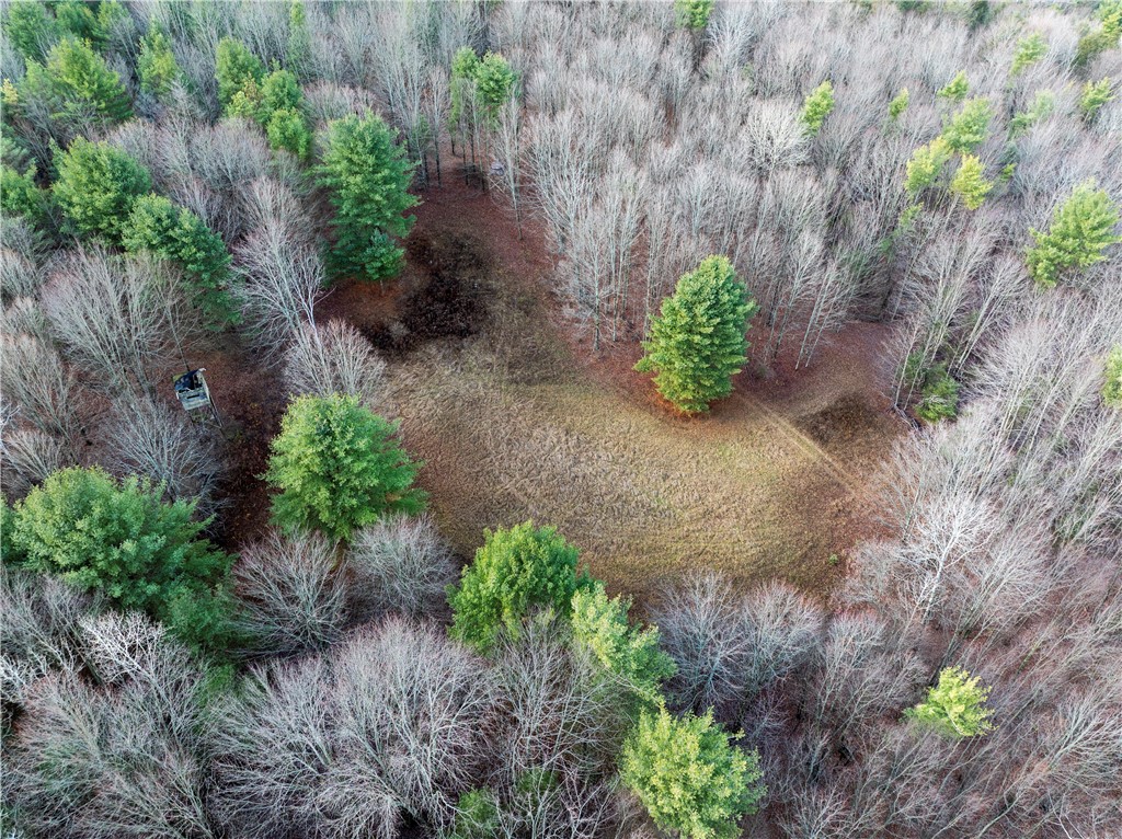 10806 West Caton Road Caton, NY 14830 - Photo 19 of 30