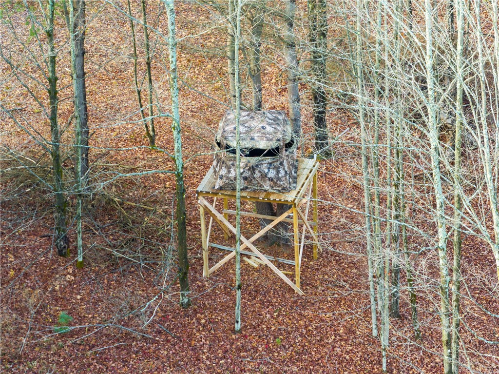 10806 West Caton Road Caton, NY 14830 - Photo 20 of 30