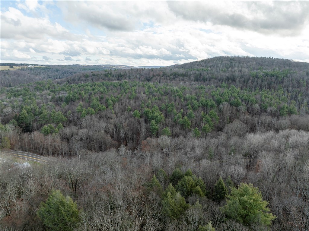 10806 West Caton Road Caton, NY 14830 - Photo 21 of 30