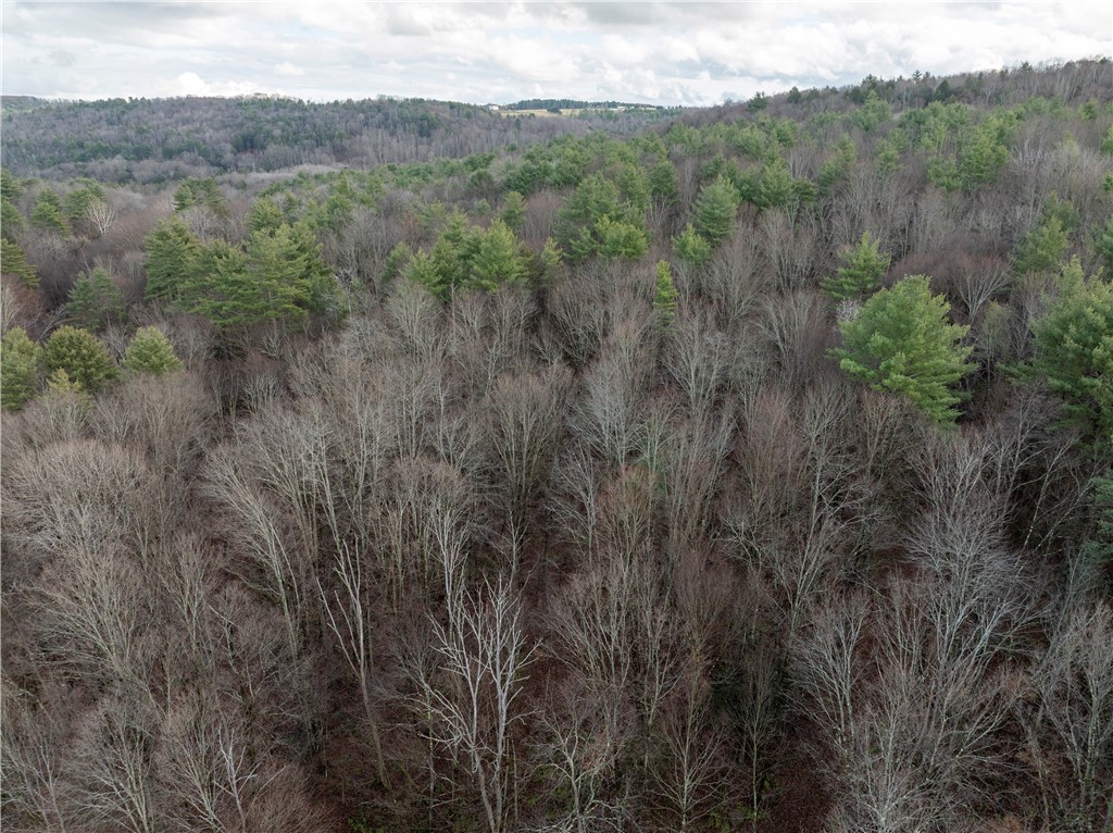 10806 West Caton Road Caton, NY 14830 - Photo 22 of 30