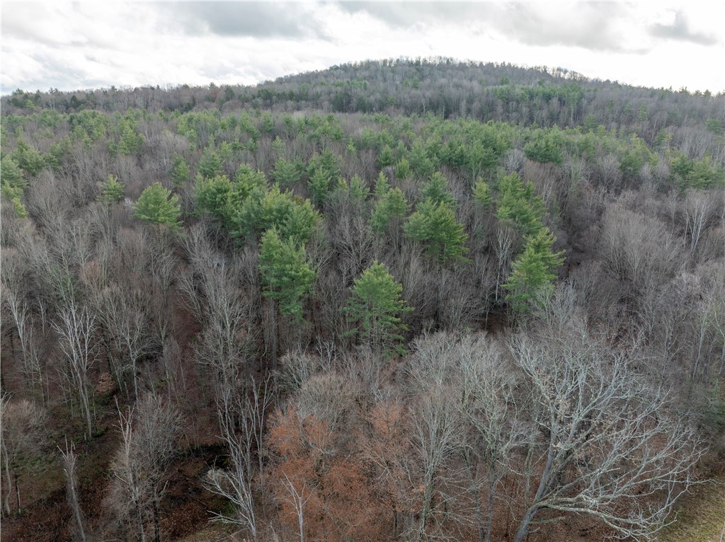 10806 West Caton Road Caton, NY 14830 - Photo 23 of 30