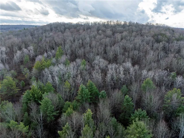 $184,900 | 10806 West Caton Road, Caton, NY 14830