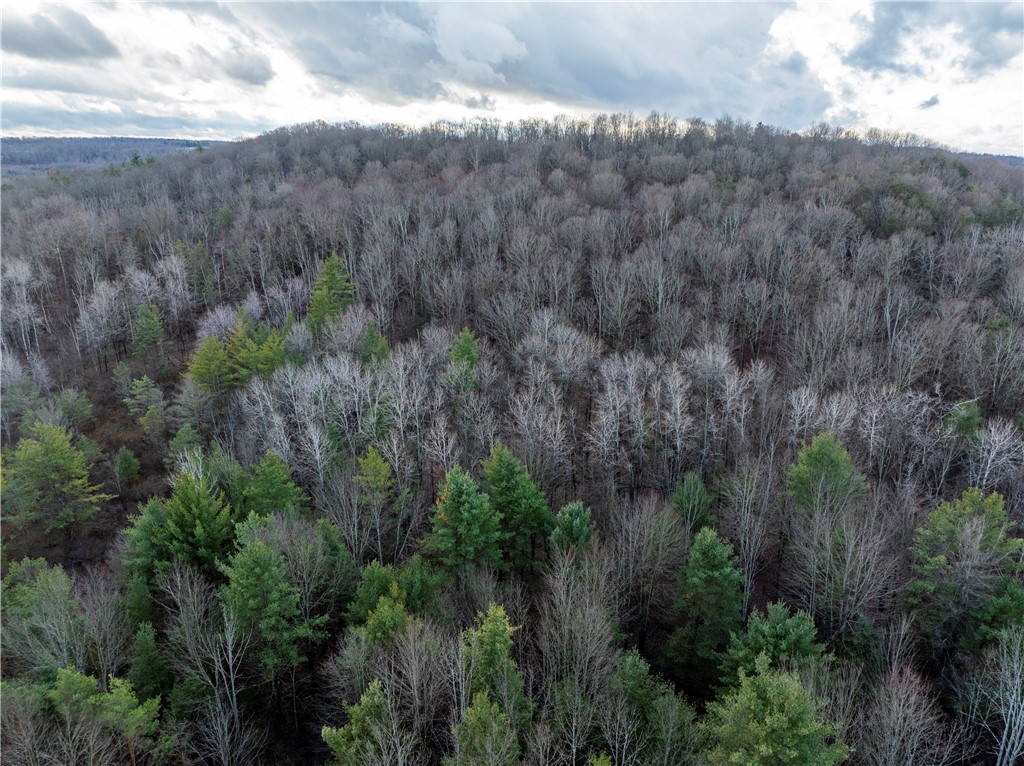 10806 West Caton Road Caton, NY 14830 - Photo 24 of 30