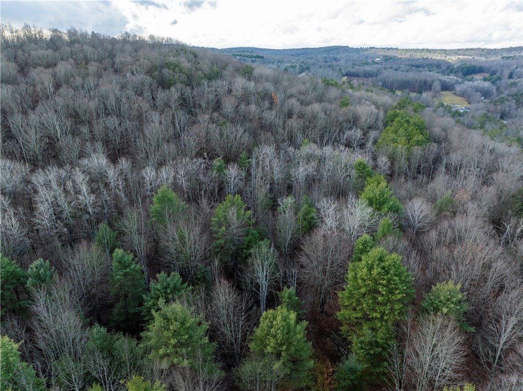 10806 West Caton Road Caton, NY 14830 - Photo 25 of 30