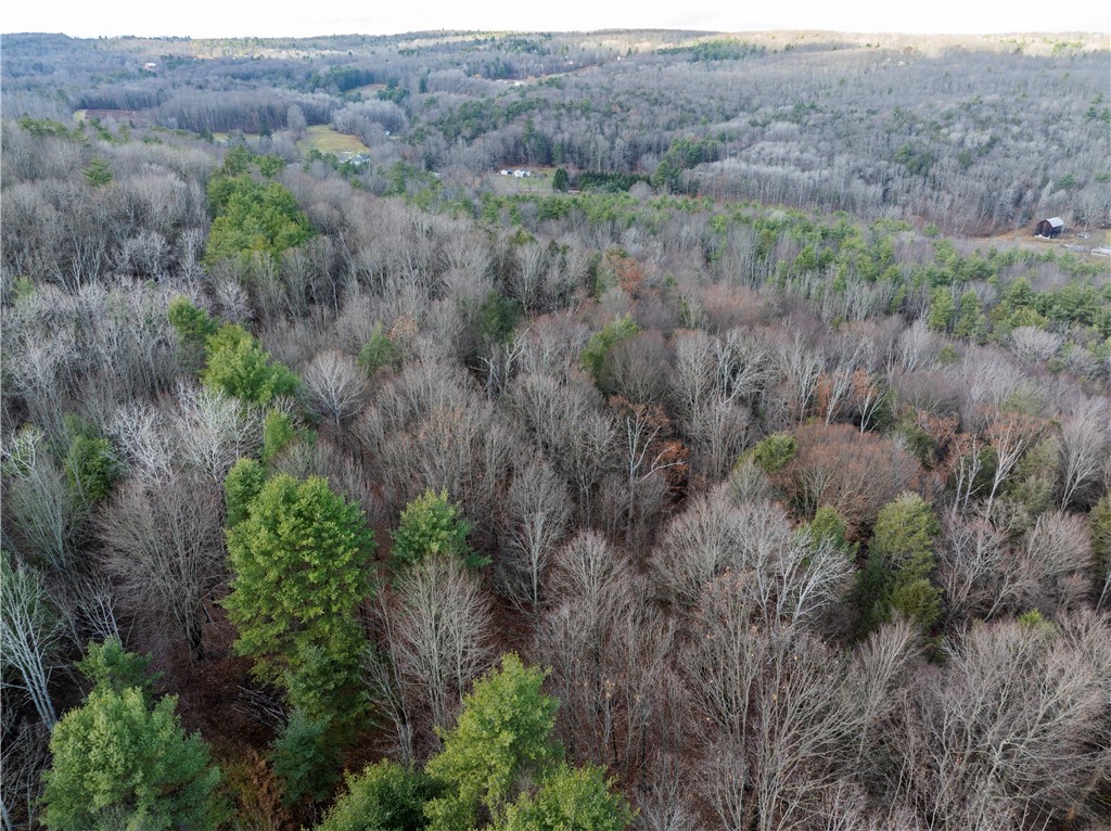 10806 West Caton Road Caton, NY 14830 - Photo 26 of 30