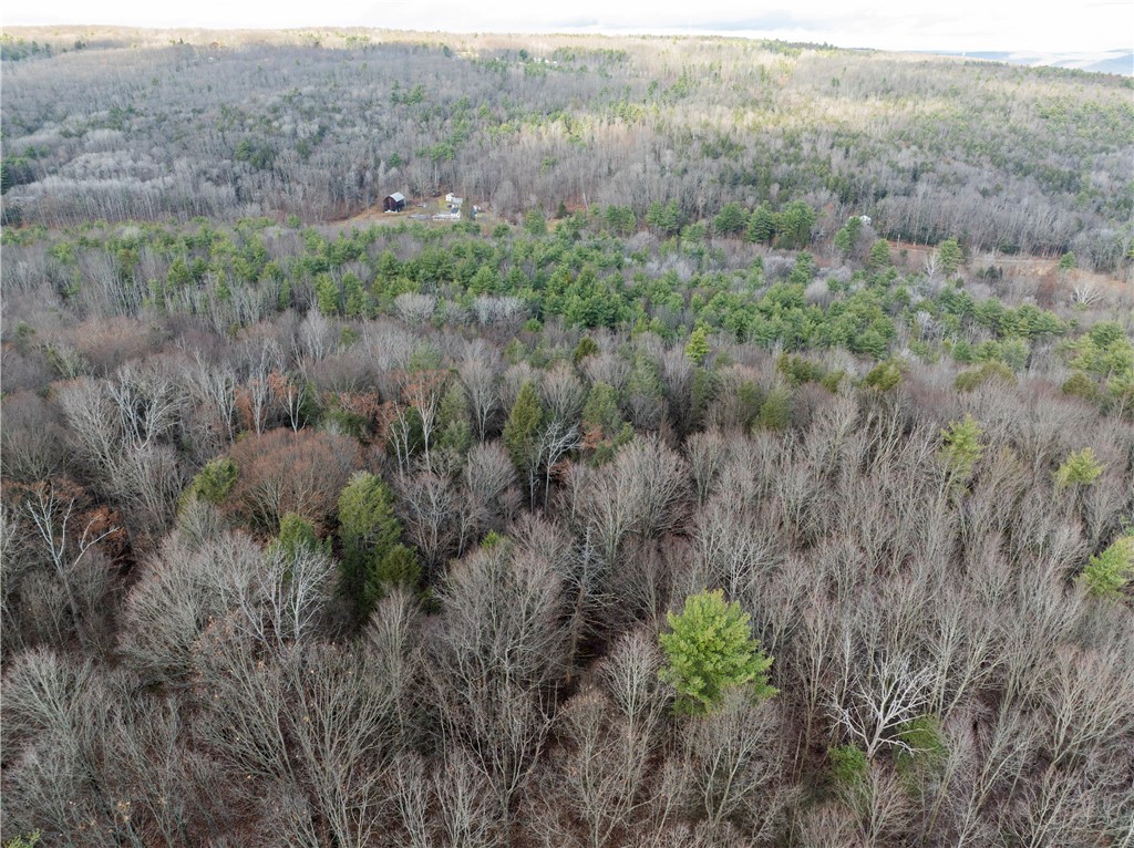 10806 West Caton Road Caton, NY 14830 - Photo 27 of 30
