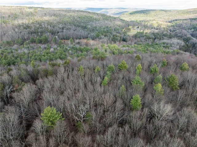 $184,900 | 10806 West Caton Road, Caton, NY 14830