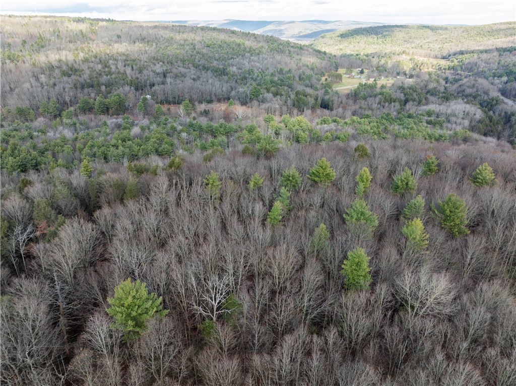 10806 West Caton Road Caton, NY 14830 - Photo 28 of 30