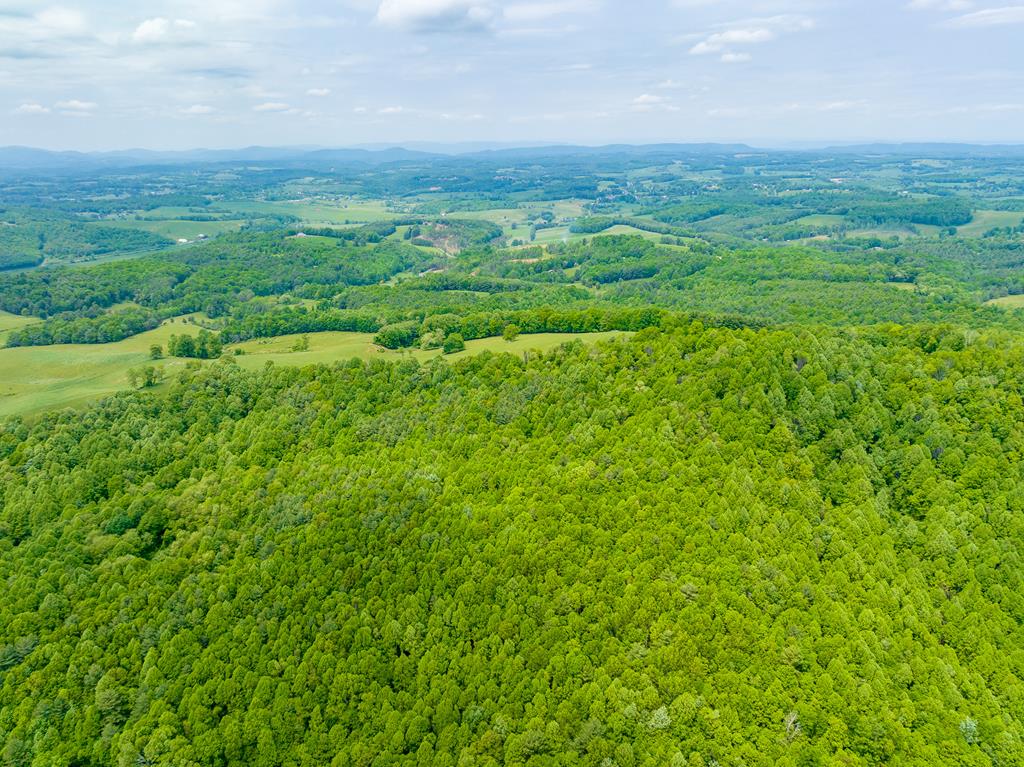 Tbd Apache Road, Unit 2 Woodlawn, VA 24381 - Photo 1 of 48 Gallery Image 1