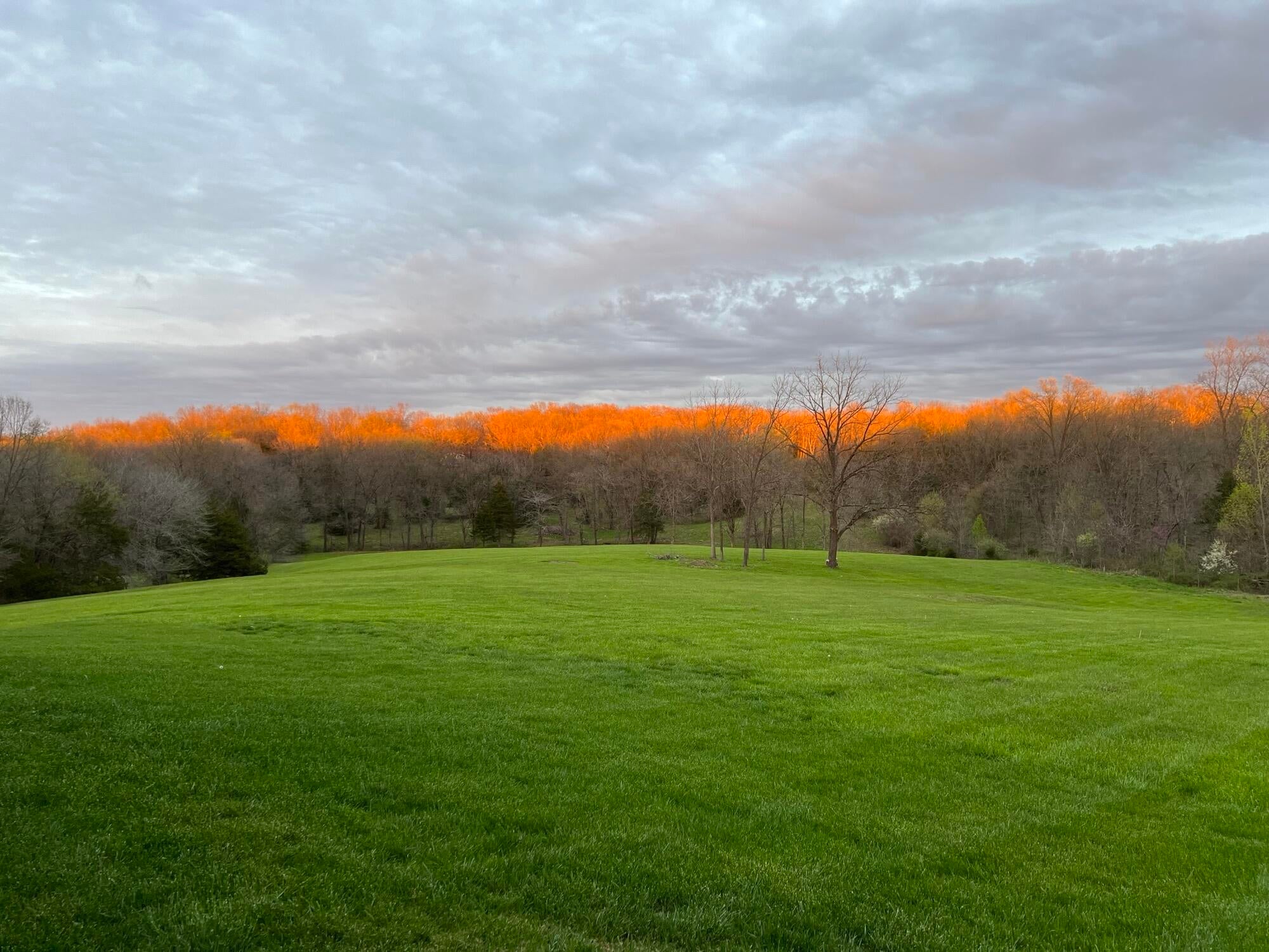 8500 West Graham Road Rocheport, MO 65279 - Photo 62 of 63