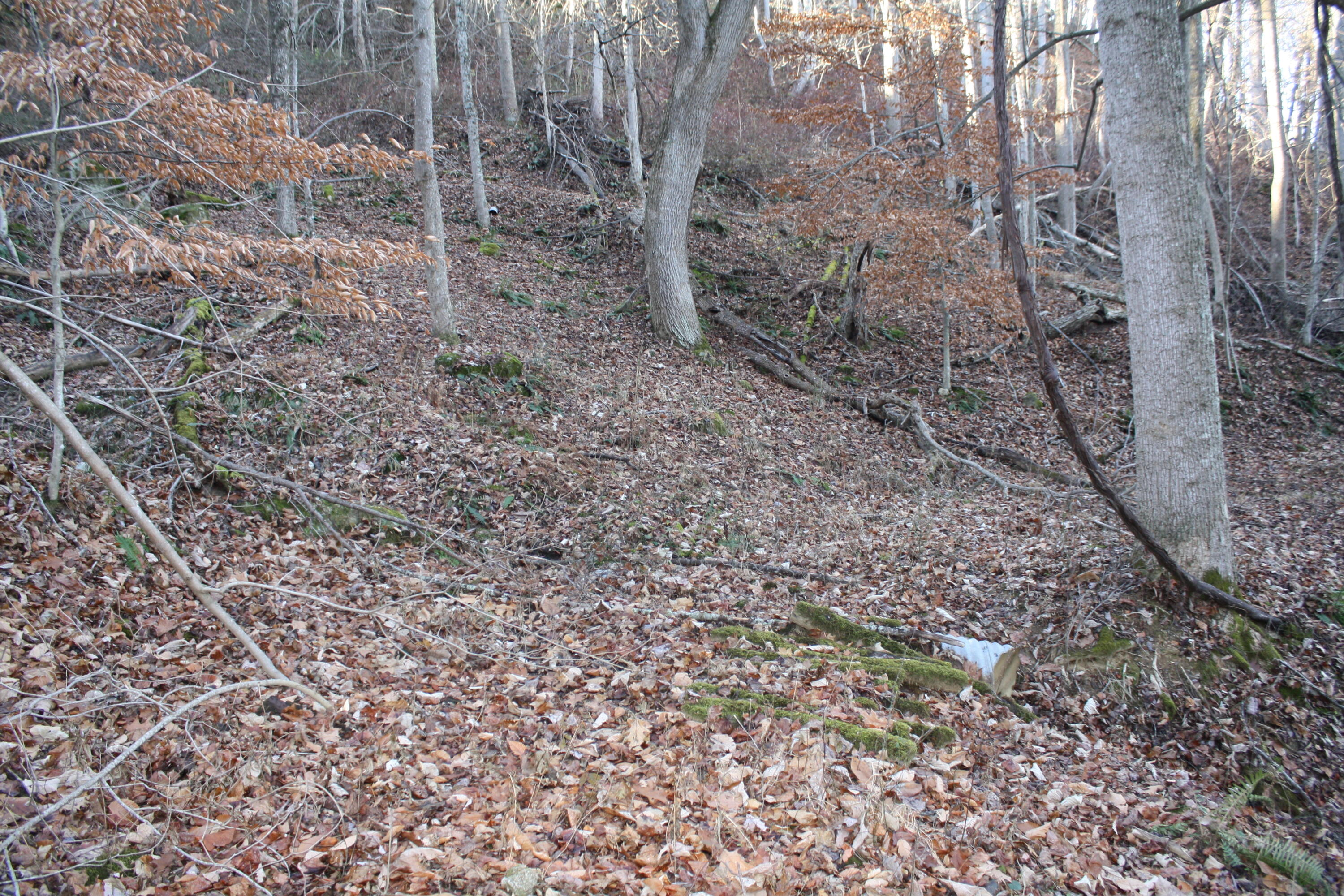 Zion Mountain Road Hinton, WV 25951 - Photo 53 of 73 Gallery Image 53