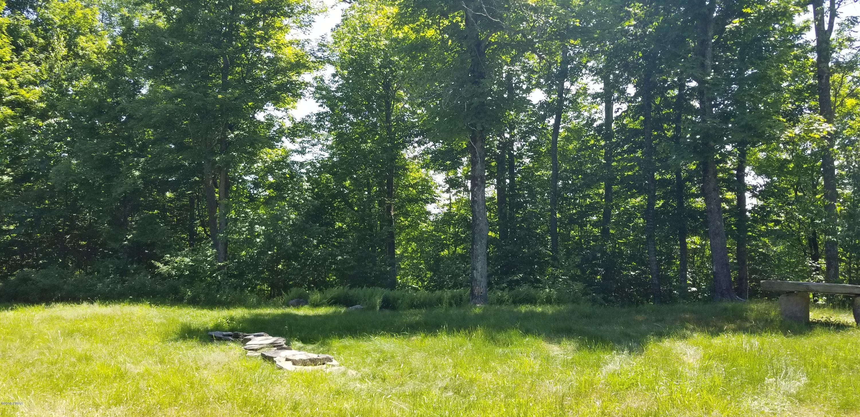 Lot 63 Old Woods Road Equinunk, PA 18417 - Photo 23 of 63