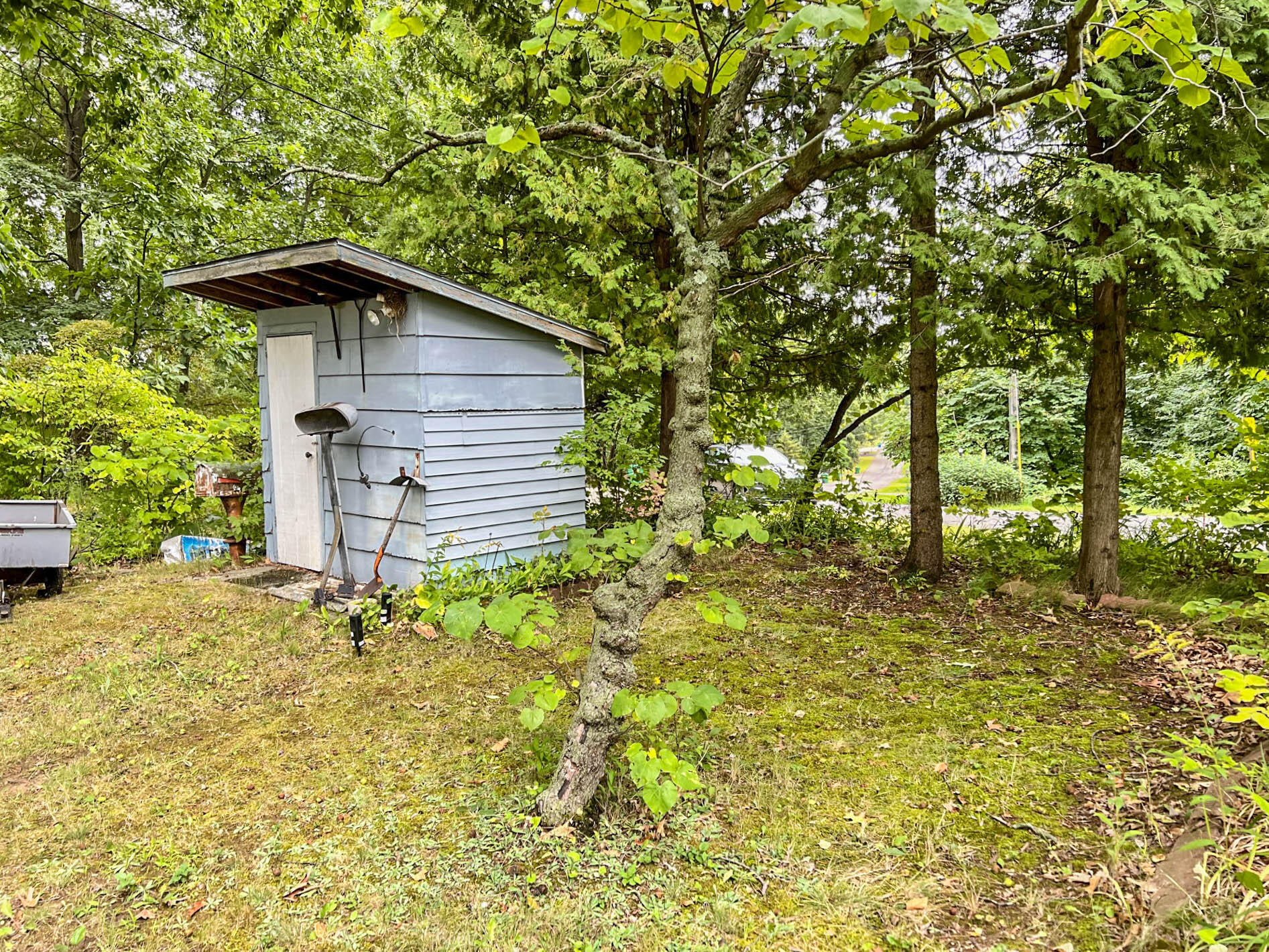 10584 Delihant Road Three Rivers, MI 49093 - Photo 3 of 11 Delihant-1695