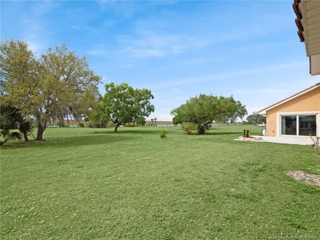 a view of a field of grass and trees