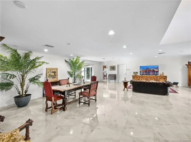 a living room with furniture a potted plant and a rug