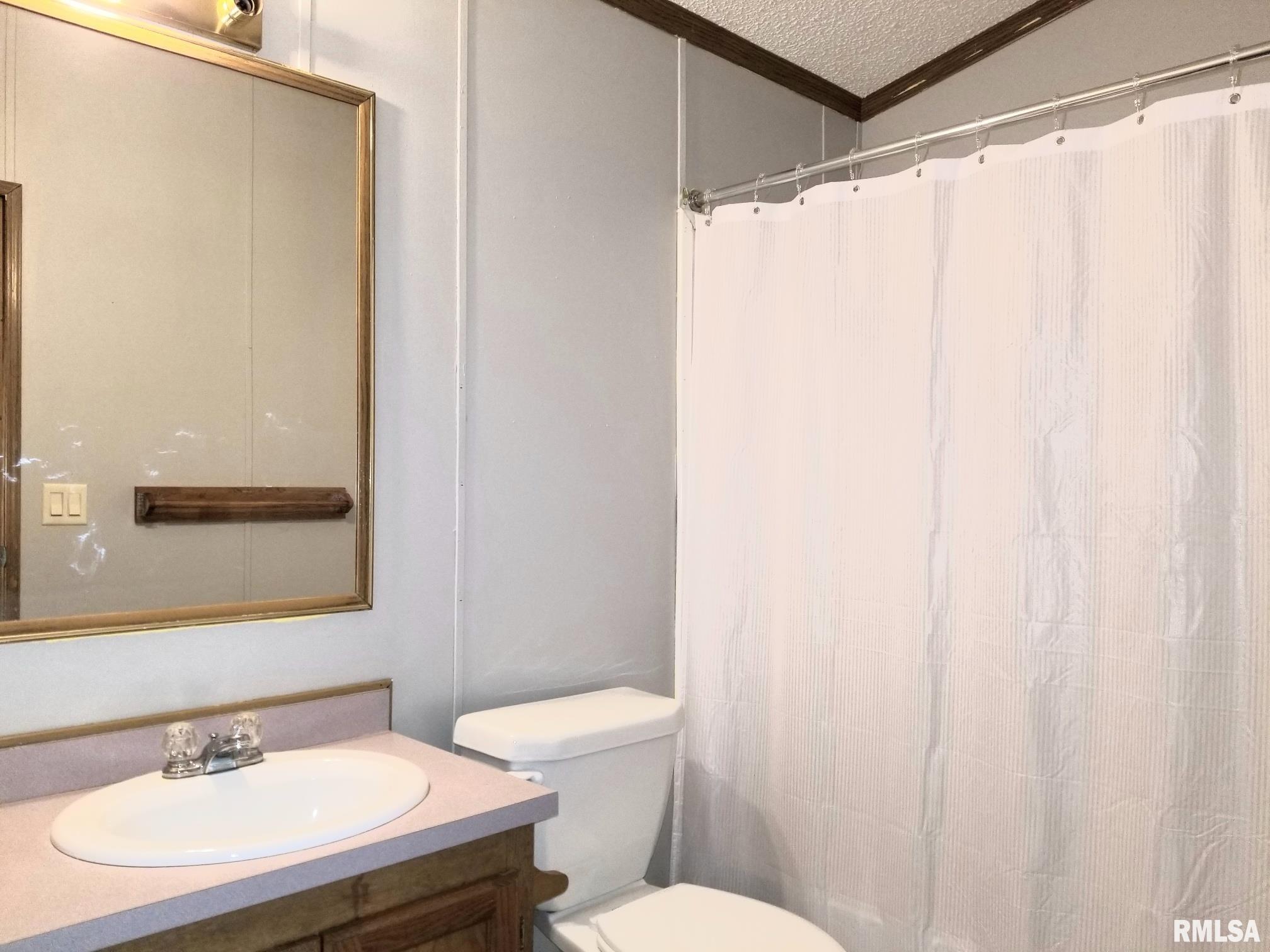 320 South Cherry Street Letts, IA 52754 - Photo 3 of 13 Gallery Image 3