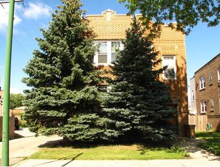 5514 North Mango Avenue, Unit G Chicago, IL 60630 - Photo 1 of 9 a view of backyard of house