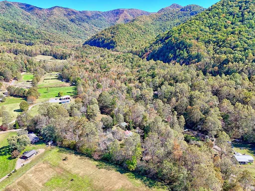 1064 Muskrat Creek Road Hayesville, NC 28904 - Photo 59 of 61