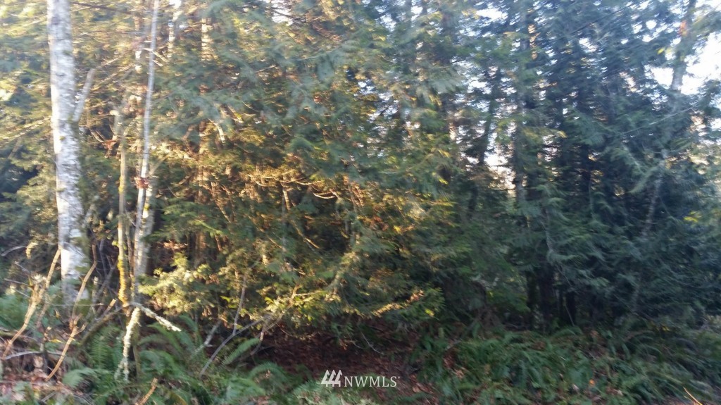 100 Kruse Road Port Angeles, WA 98362 - Photo 12 of 20 Gallery Image 12