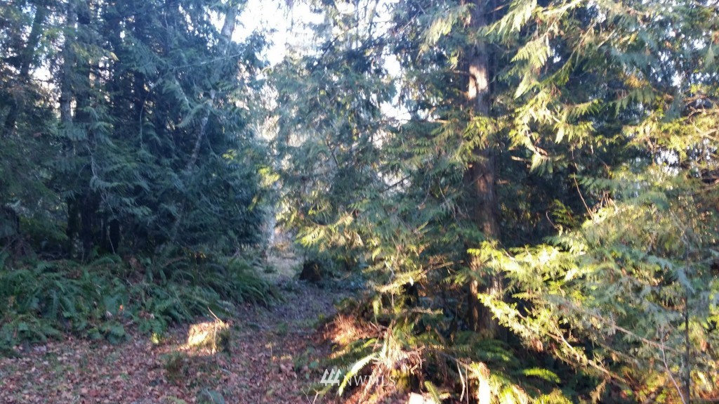 100 Kruse Road Port Angeles, WA 98362 - Photo 13 of 20 Gallery Image 13