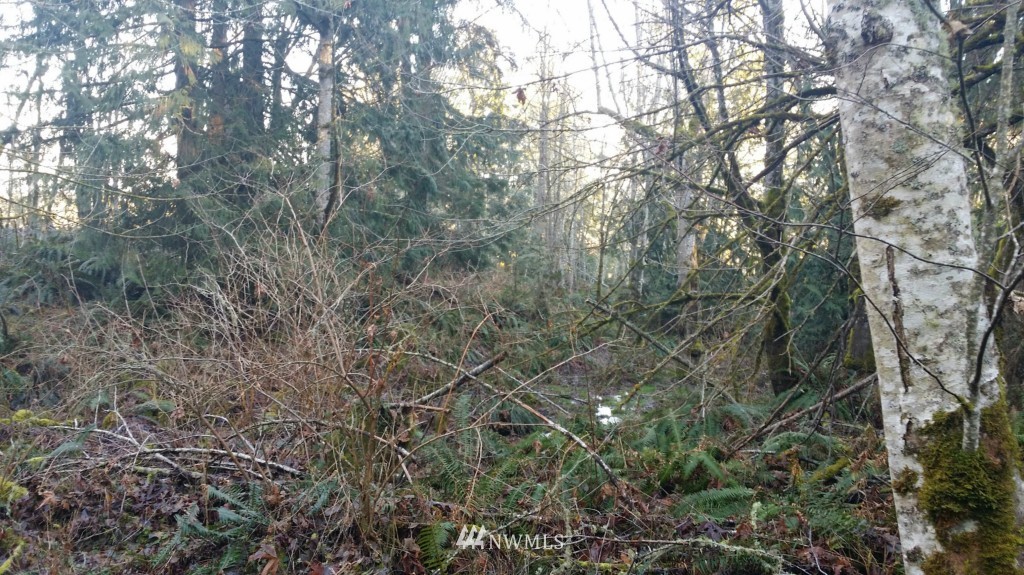 100 Kruse Road Port Angeles, WA 98362 - Photo 17 of 20 Gallery Image 17