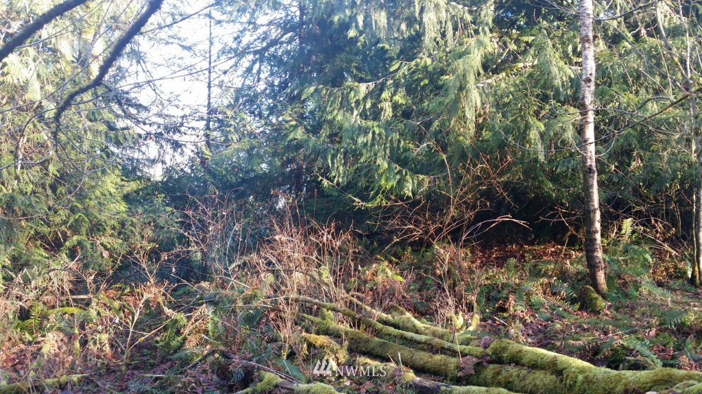 100 Kruse Road Port Angeles, WA 98362 - Photo 19 of 20 Gallery Image 19