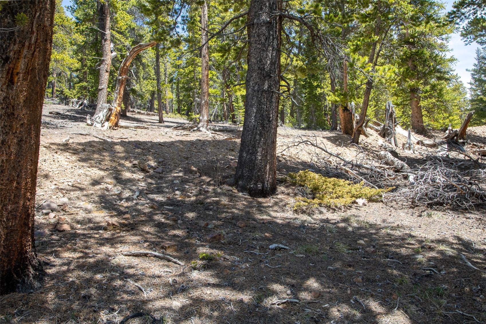 1171 Co Road Alma, CO 80420 - Photo 36 of 48 Gallery Image 36