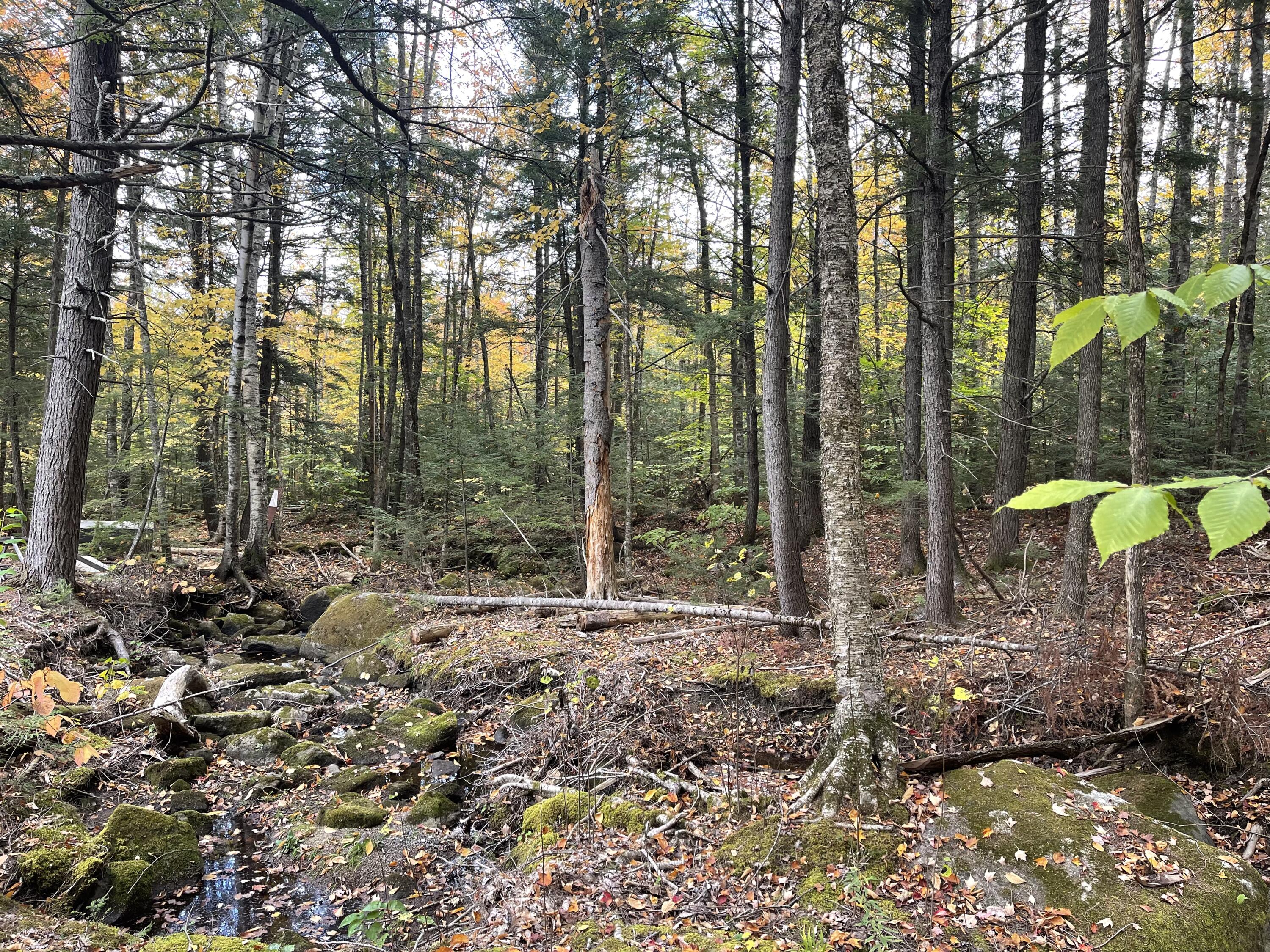 859 Greeley's Landing Road Dover-Foxcroft, ME 04426 - Photo 22 of 26 IMG_0574