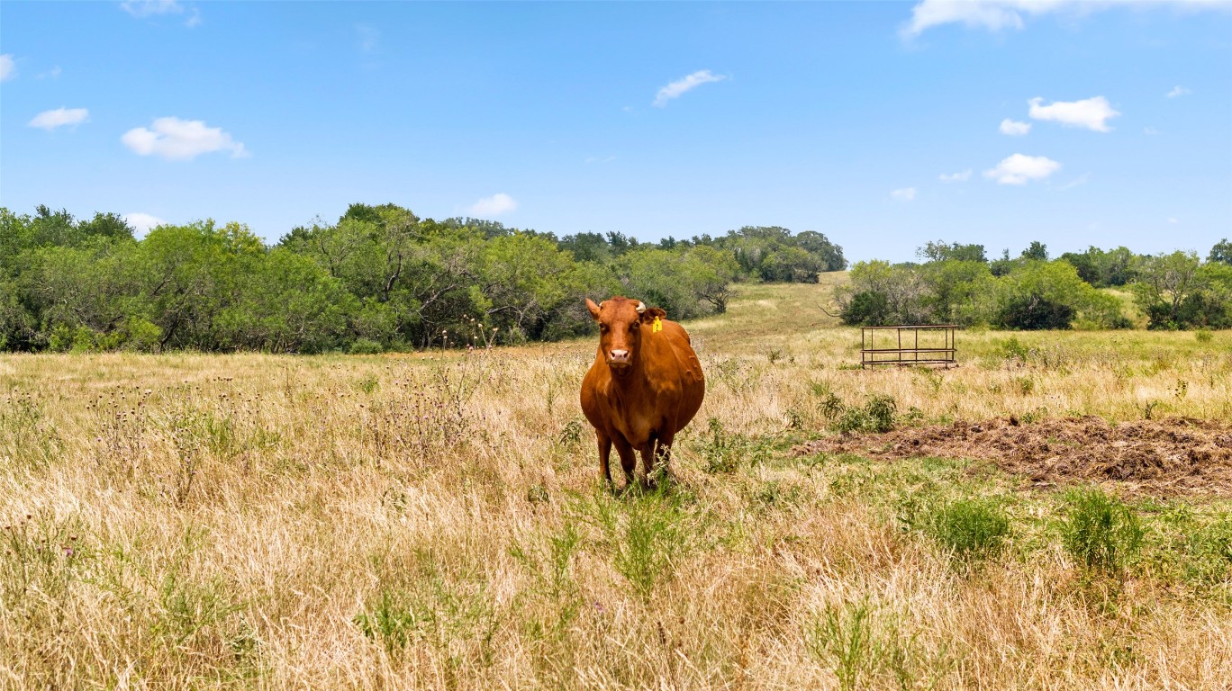 6035 State Park Road Lockhart, TX 78644 - Photo 14 of 24 a view of a lake with outdoor space