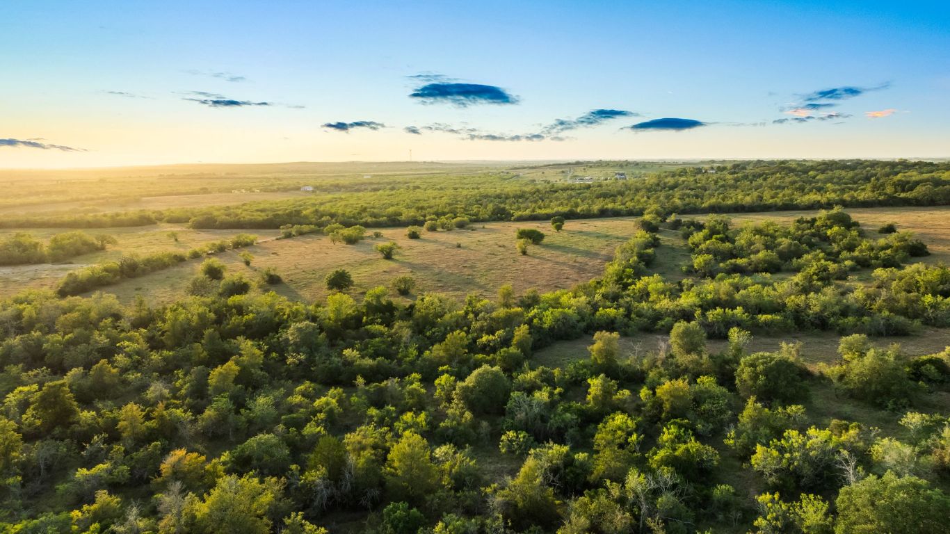 6035 State Park Road Lockhart, TX 78644 - Photo 4 of 24