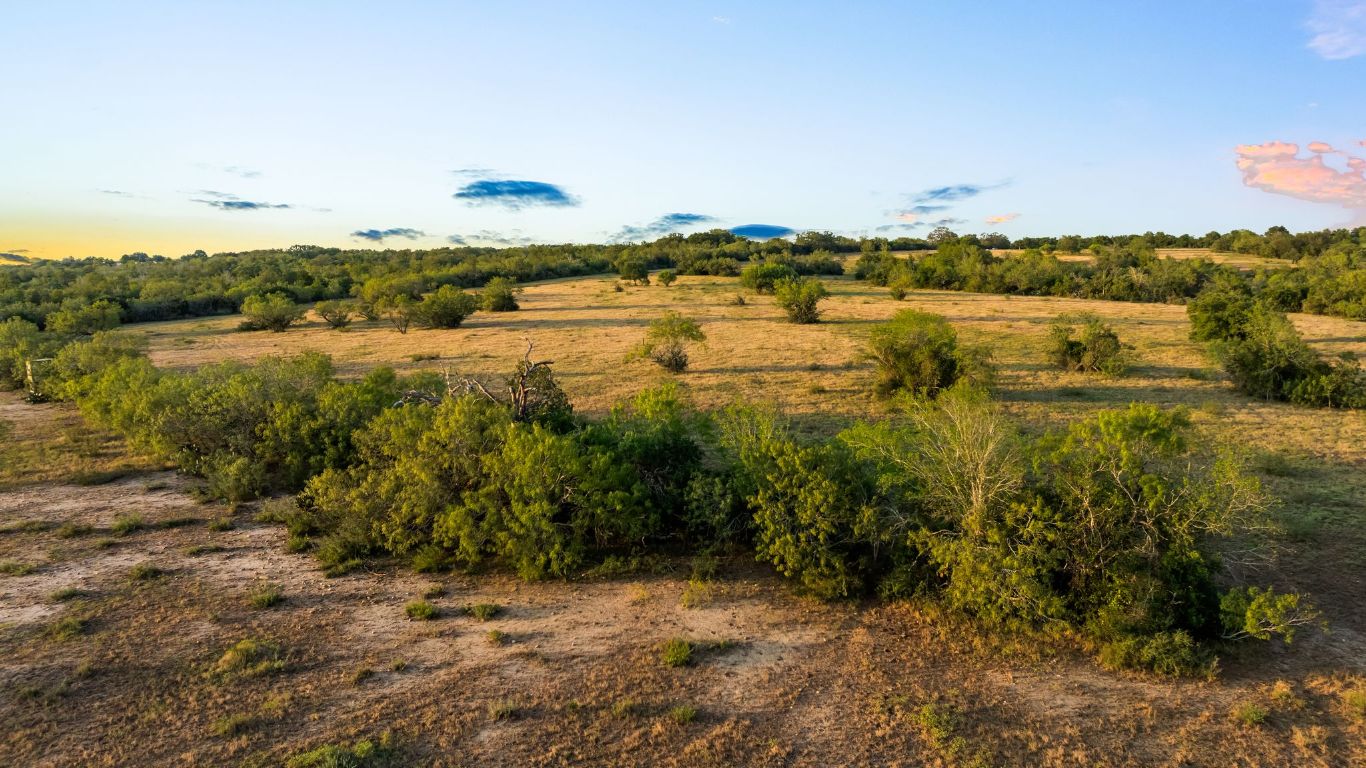 6035 State Park Road Lockhart, TX 78644 - Photo 6 of 24 a view of lake with boats