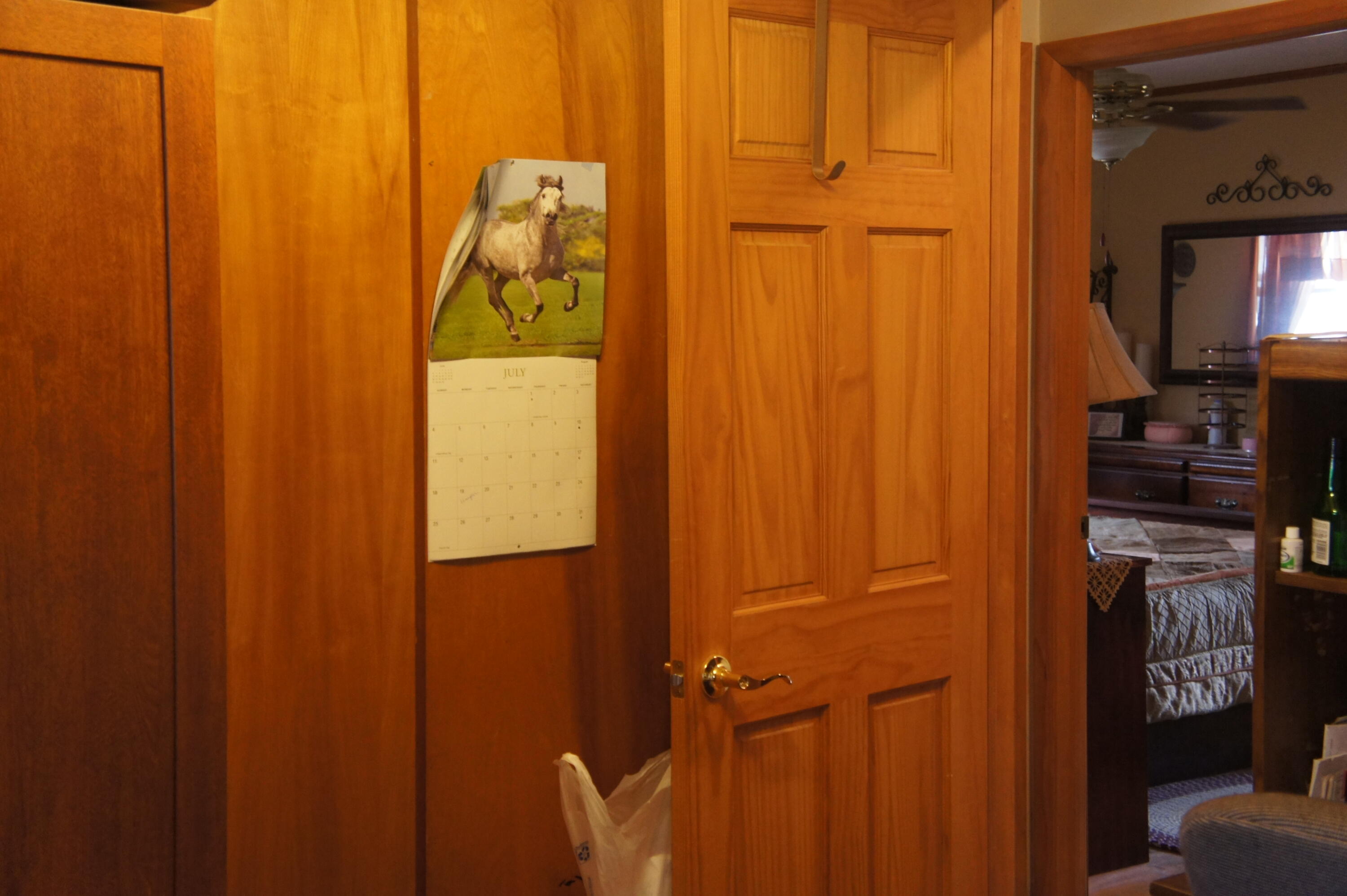 931 East Chicago Road Quincy, MI 49082 - Photo 22 of 43 DSC02786