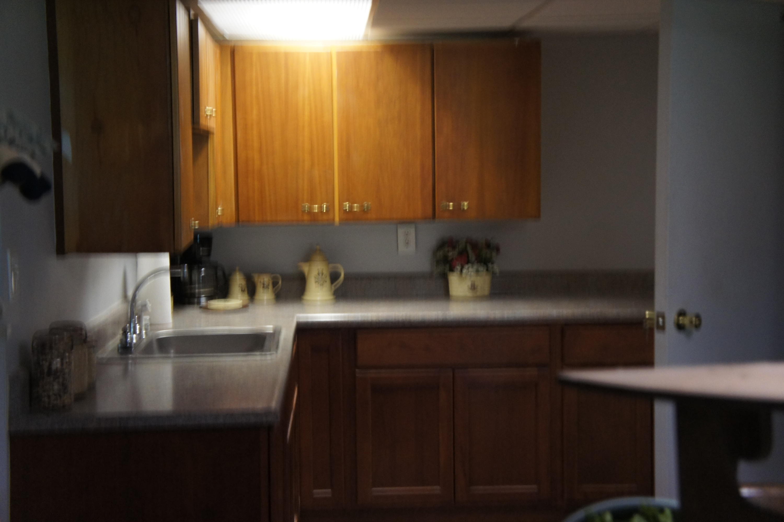 931 East Chicago Road Quincy, MI 49082 - Photo 24 of 43 DSC02789