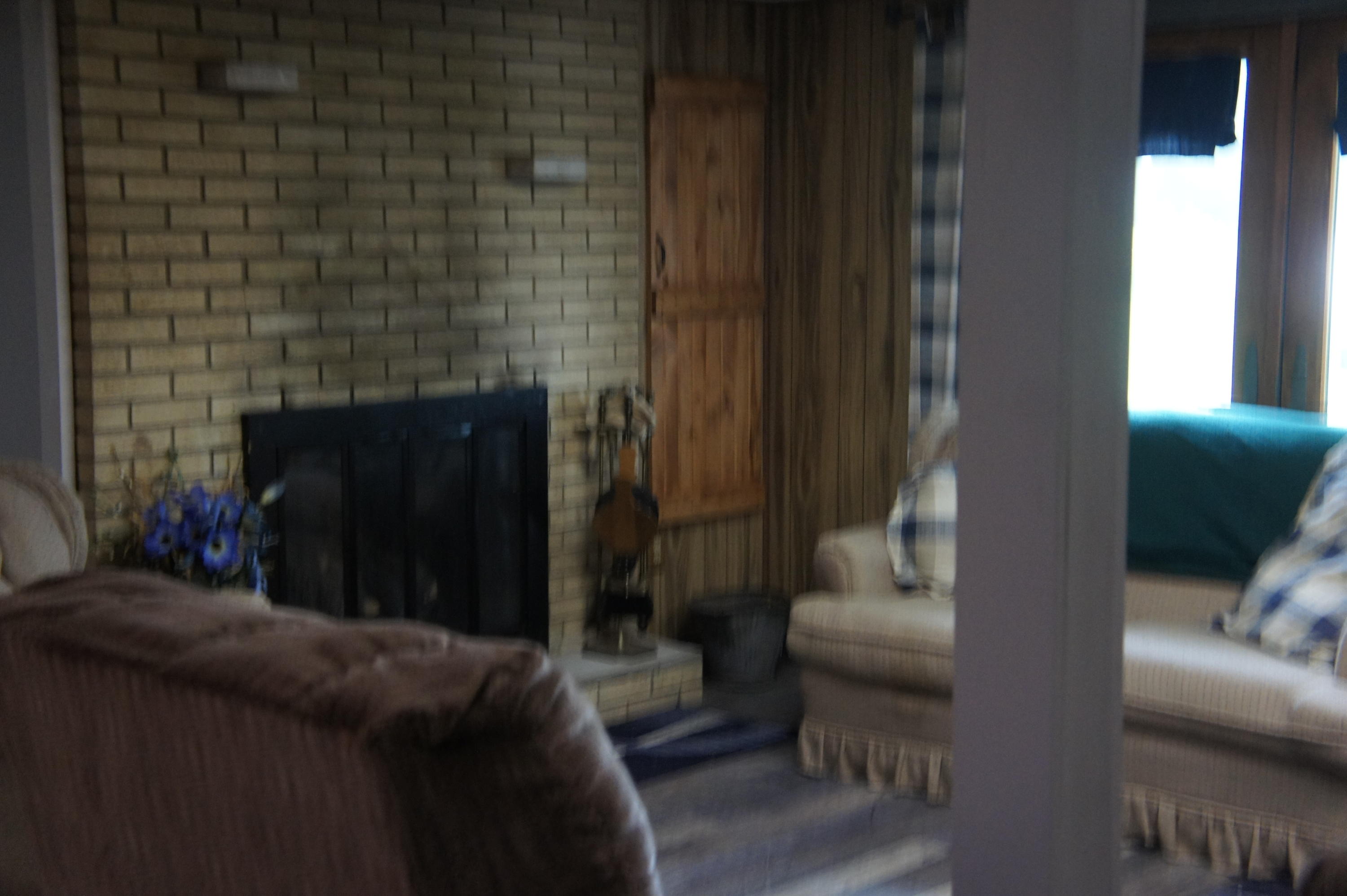 931 East Chicago Road Quincy, MI 49082 - Photo 25 of 43 DSC02790