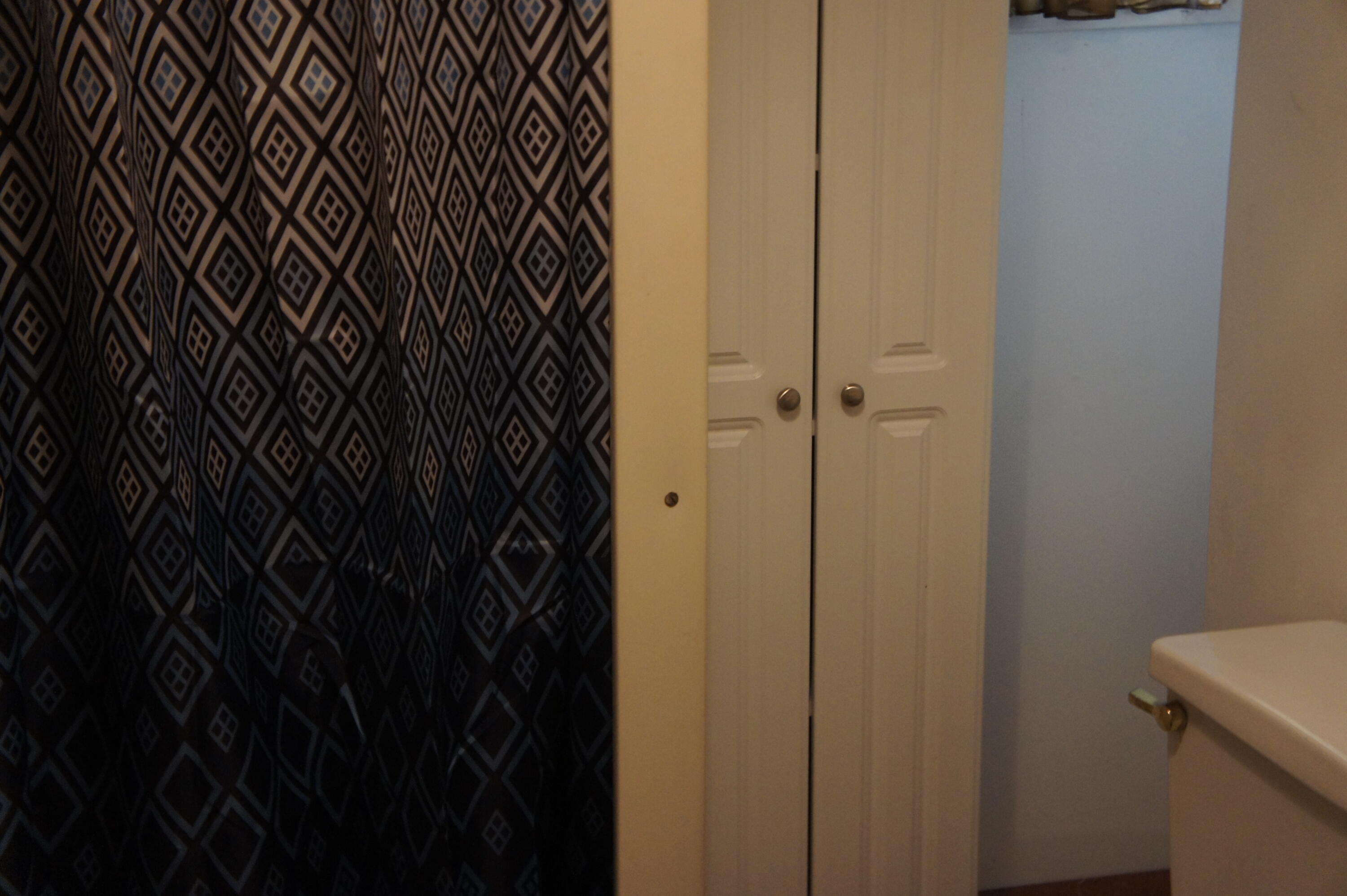 931 East Chicago Road Quincy, MI 49082 - Photo 28 of 43 DSC02793
