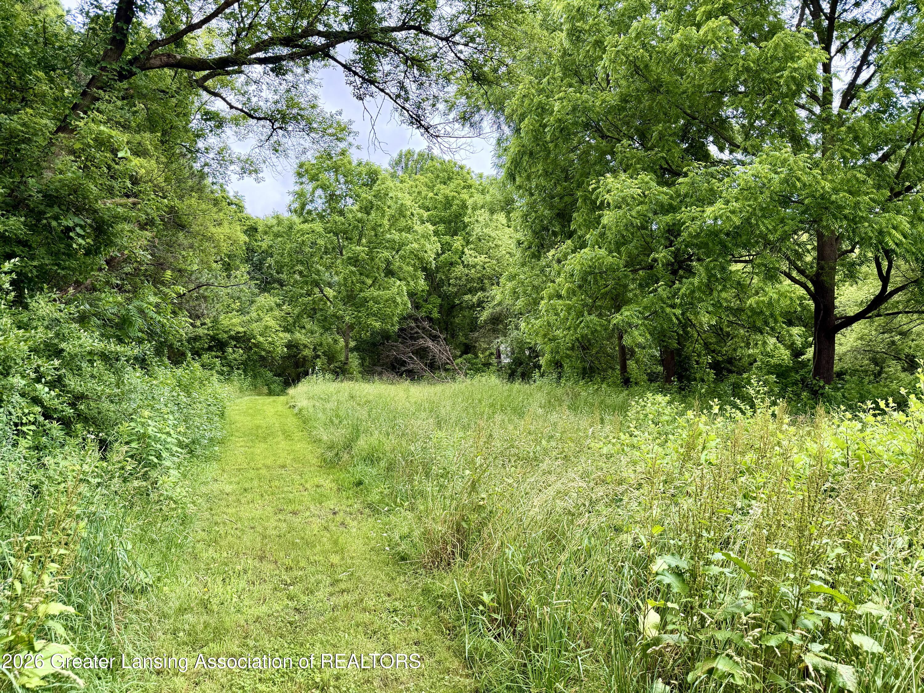 5447 Woods Road Bellevue, MI 49021 - Photo 48 of 62
