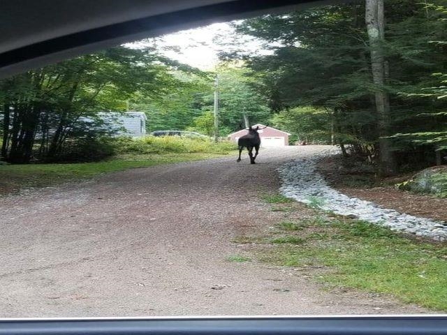 528 Stockbridge Corner Road Alton, NH 03809 - Photo 25 of 26