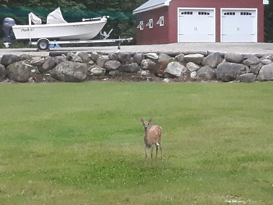 528 Stockbridge Corner Road Alton, NH 03809 - Photo 26 of 26