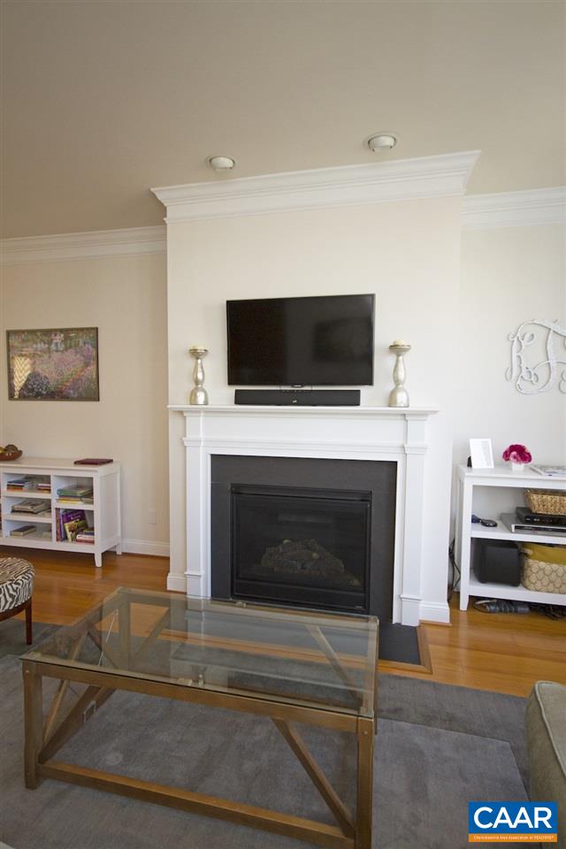 2018 Avinity Loop Charlottesville, VA 22902 - Photo 8 of 25 a living room with furniture a fireplace and a flat screen tv